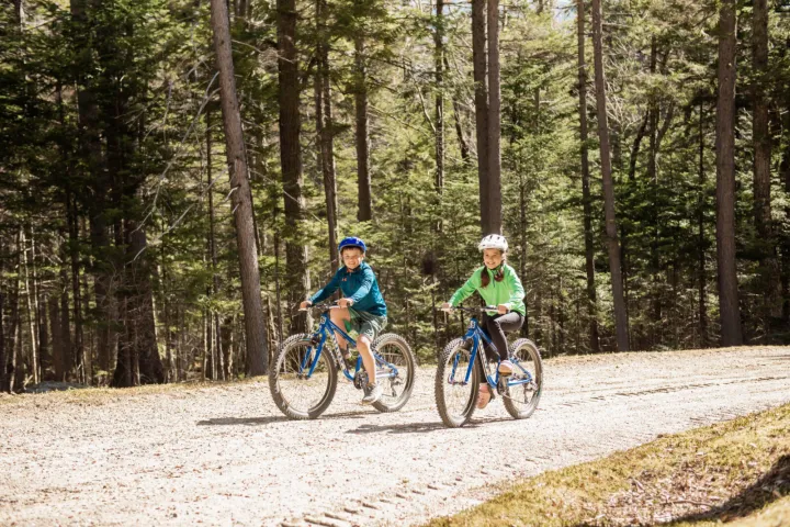 a man riding a bicycle on a trail in a forest