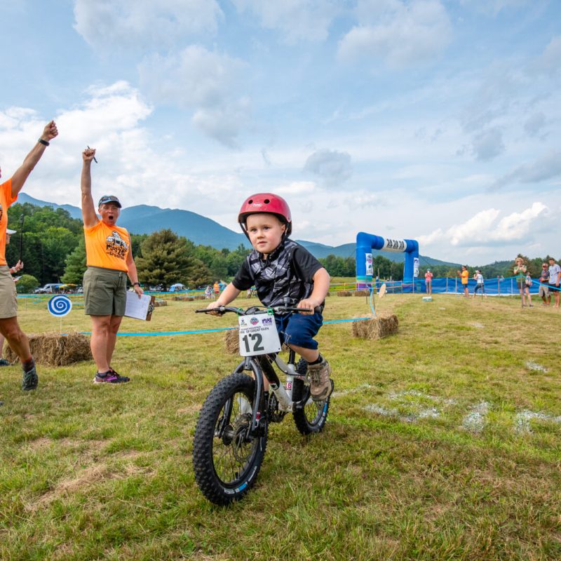 a group of people flying kites in a field