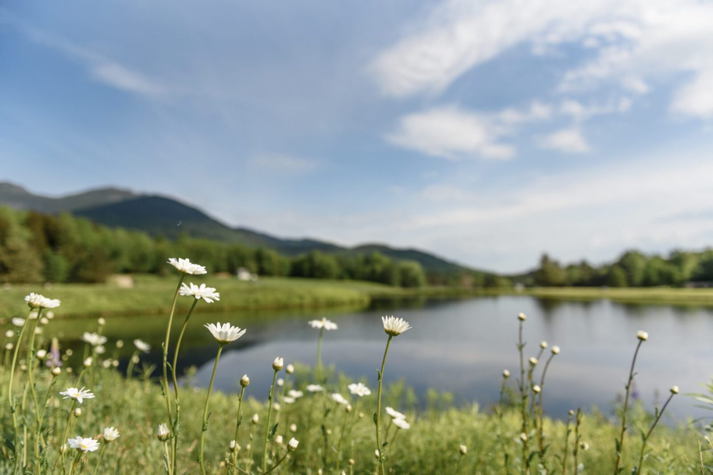 Great Glen Trails Outdoor Center | Summer Activities in Gorham, NH