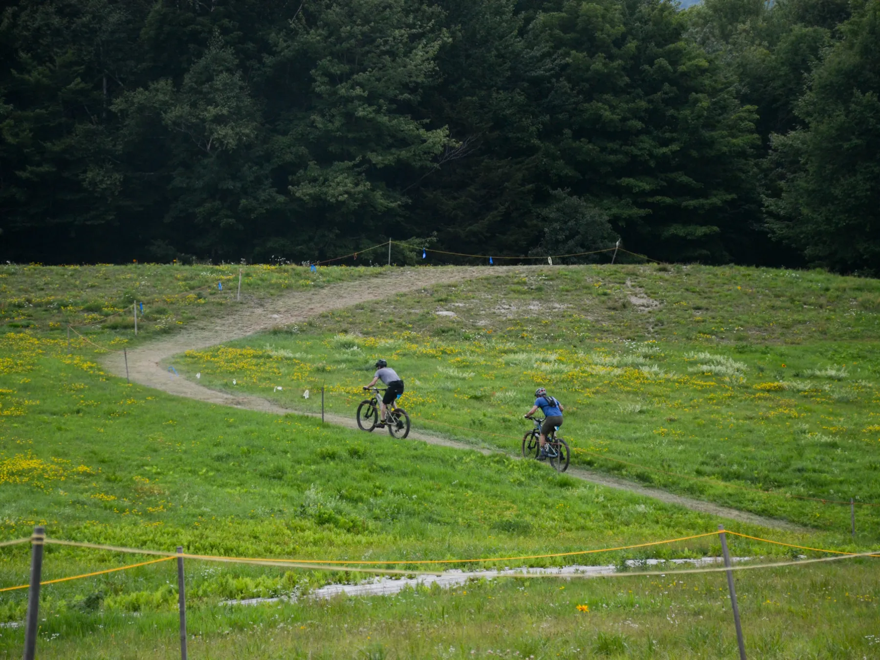 Two cyclists riding on a winding path through a grassy field.